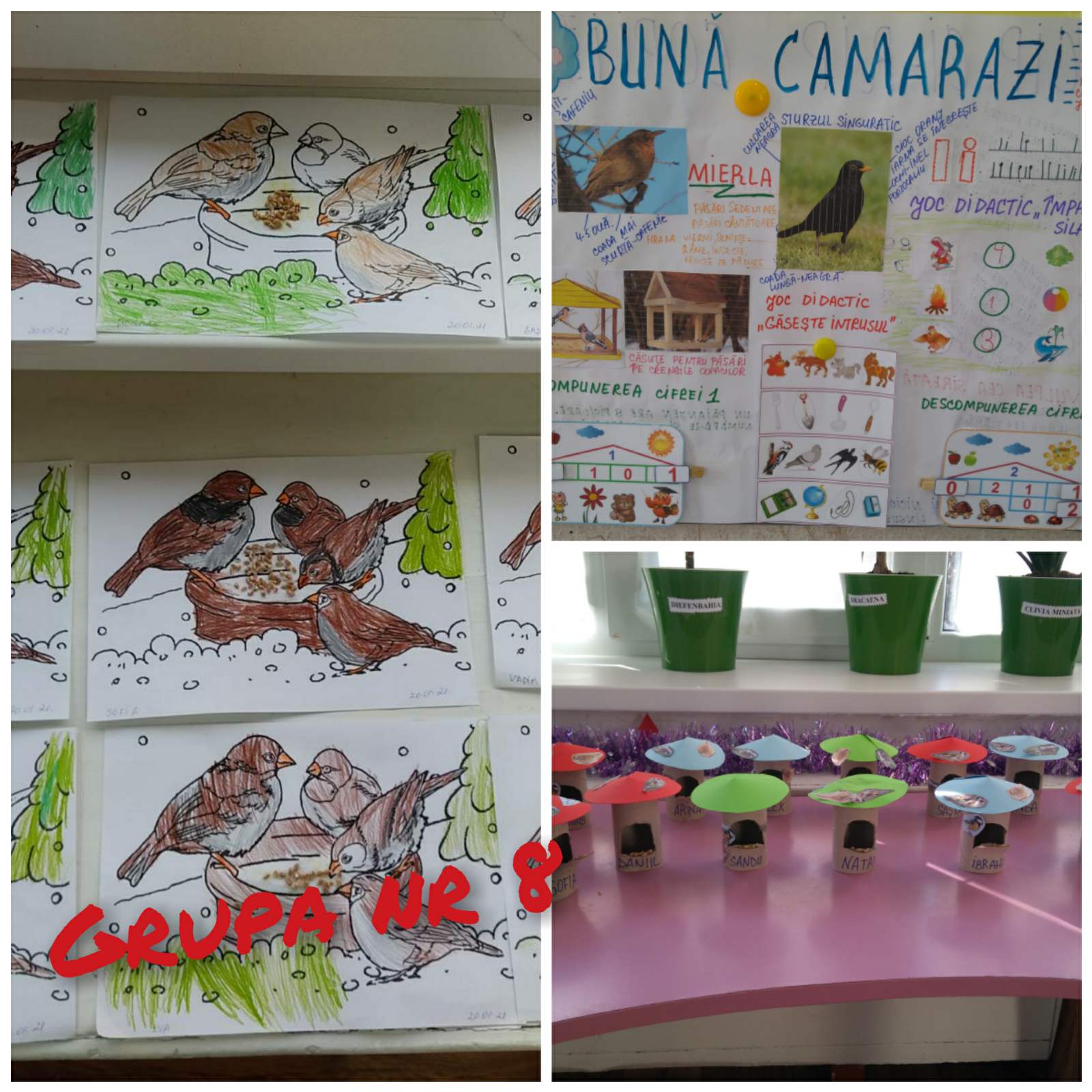 Proiect tematic ,,În lumea poveștilor,, și ,,Păsările sidentare,,