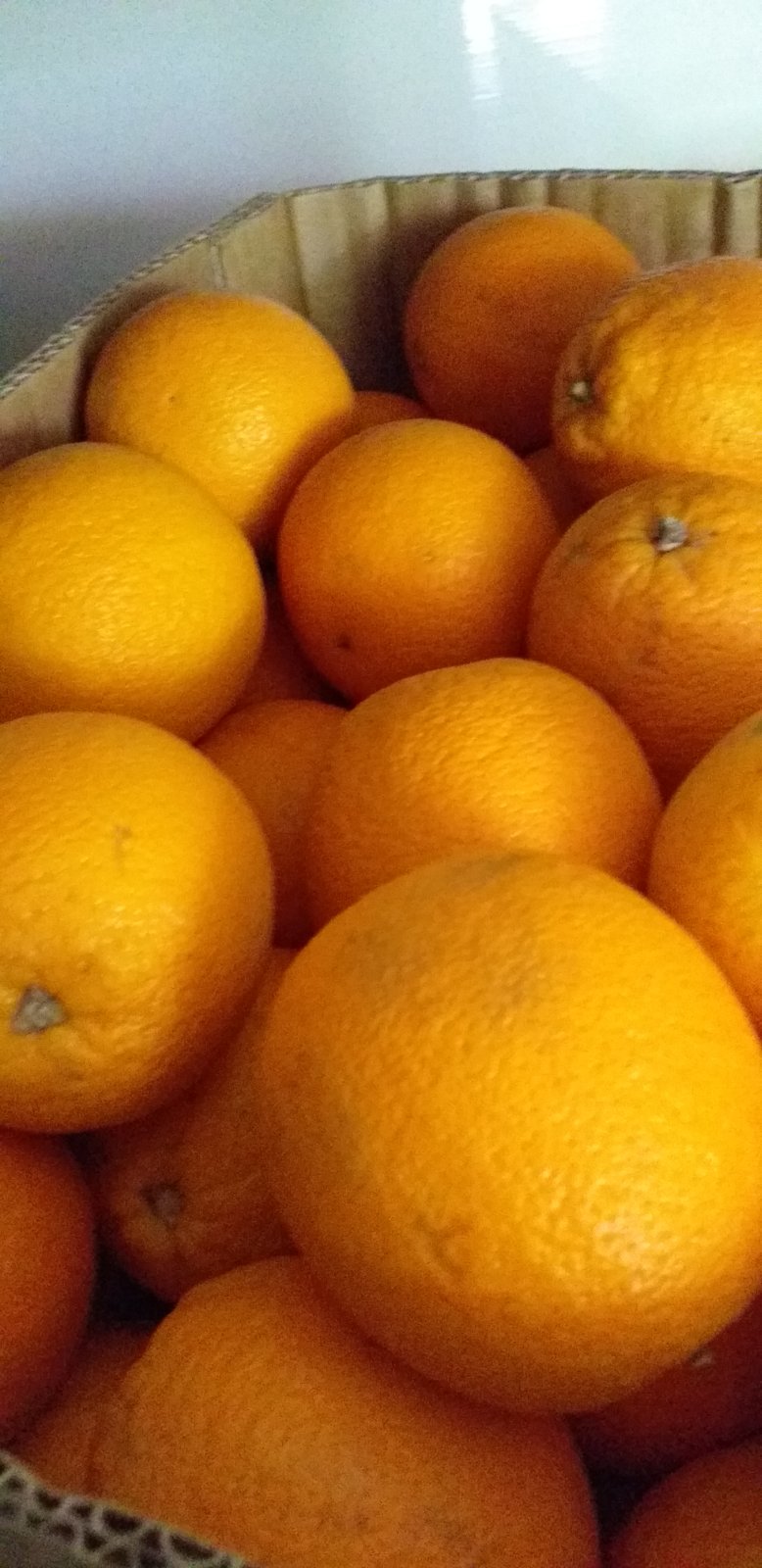 IET NR.40 ESTE ASIGURATĂ CU PRODUSELE ALIMENTARE NECESARE PENTRU ALIMENTAREA SĂNĂTOASĂ A COPIILOR.